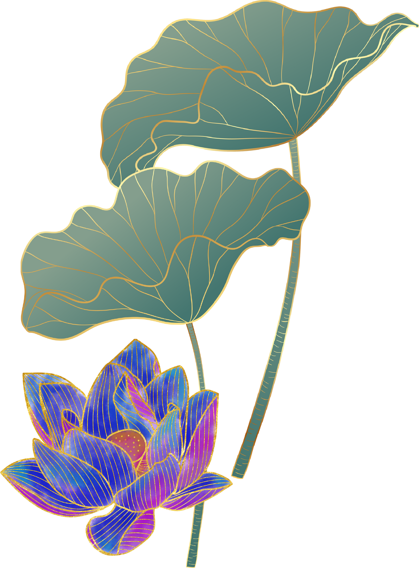 Lotus